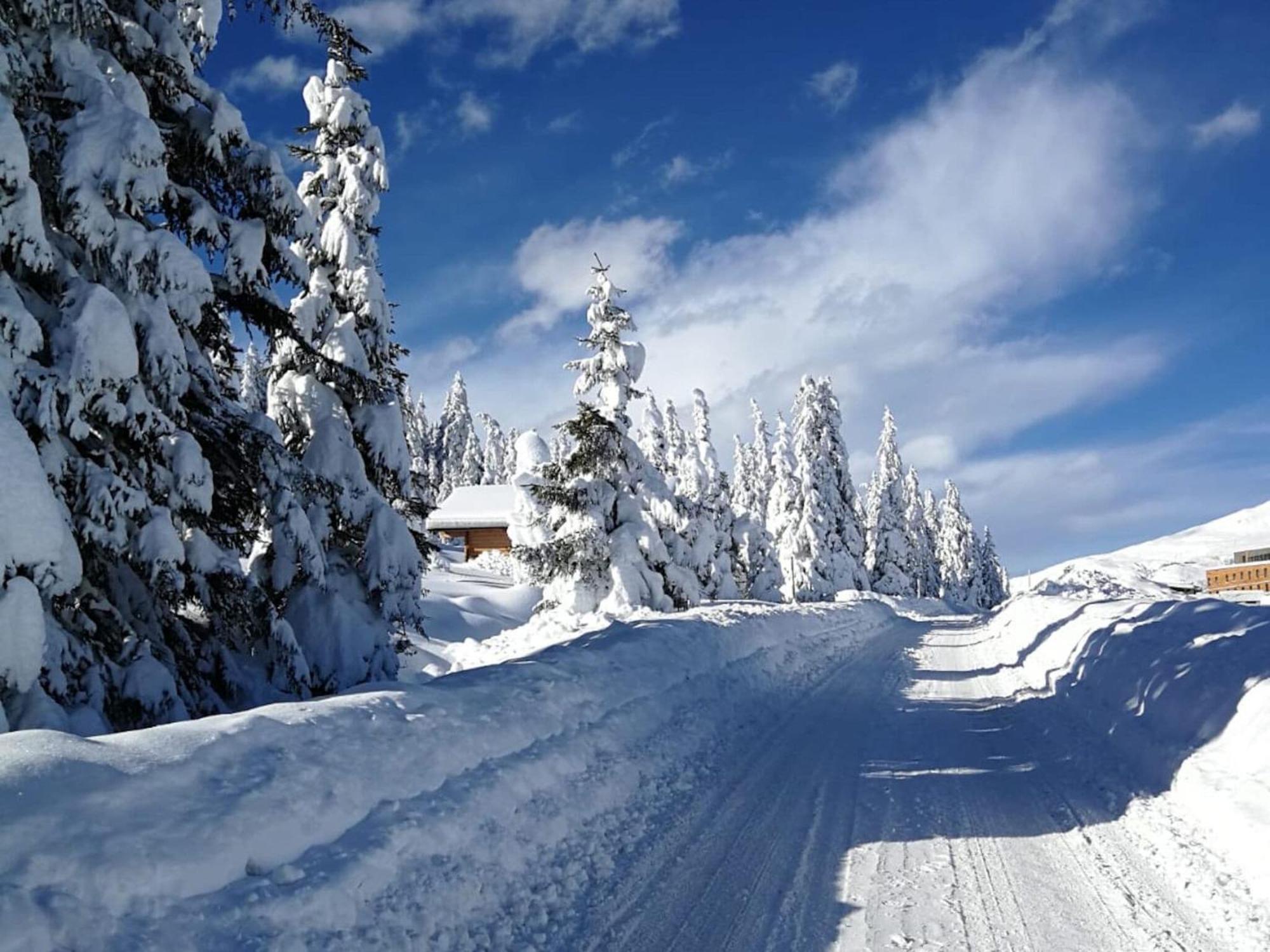 Flat South Of Kitzb Hel With Nationalparkcard Διαμέρισμα Hollersbach im Pinzgau Εξωτερικό φωτογραφία